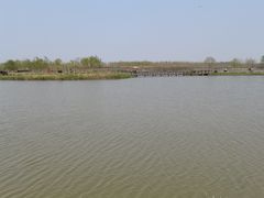 -西青郊野公园