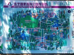 -东平国家森林公园