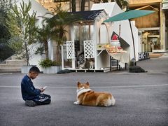 -肥朵食堂(带梦胡同店)
