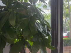 -赣江里•江西菜(望京旺角店)