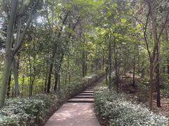 -云龙山