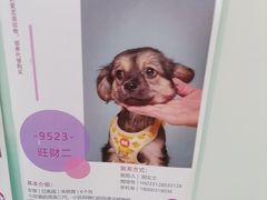 -鹏欣水游城