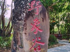 -野象谷景区