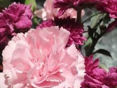 -左陕右甘(亚运村店)