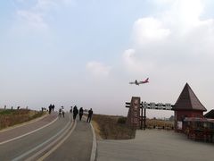 -空港花田景区