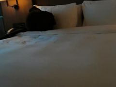 -上海滴水湖皇冠假日酒店