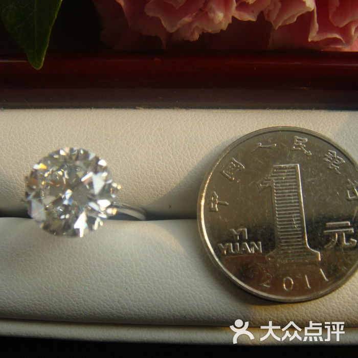 帝锐钻石5克拉钻戒对比1元硬币图片-郑州更多