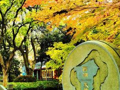-西湖天地