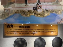 -青岛德国总督楼旧址博物馆