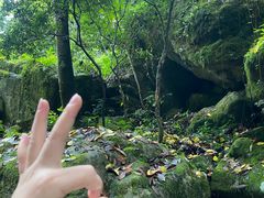 -刘伯温故里景区百丈漈
