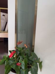 点击看大图 -桔子摄影(马鞍山店)