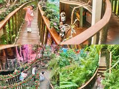 -正佳雨林生态植物园