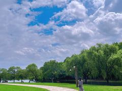 -上海共青森林公园