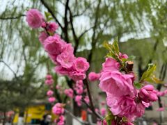 -朝阳公园