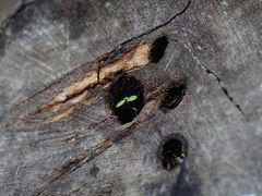 -白草畔自然风景区