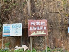 -北岐滩涂