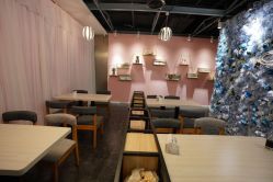 -doladola(徐家汇店)