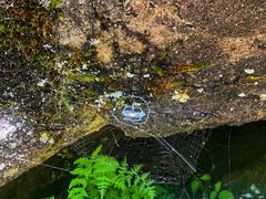 -青峰峡国家森林公园