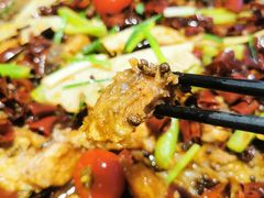 -老板恋上鱼(荣盛广场店)