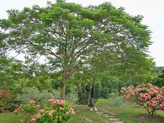 -中国科学院西双版纳热带植物园