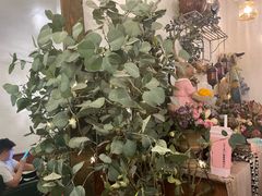 -春风·有糖(崇宁路店)