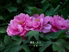 -北京市劳动人民文化宫