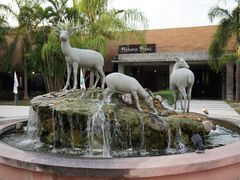 -清迈夜间动物园