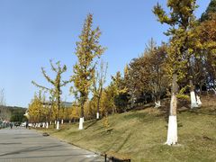 -南京邮电大学(仙林校区)