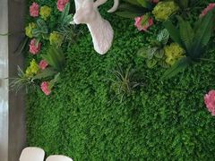 -九府羊·鲜羊火锅·烤串(新华路店)