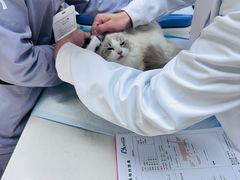 -贝康宠物医院·犬猫全科·小动物特色诊疗中心(东环路店)
