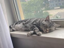 -妃格美发沙龙·烫发·染发