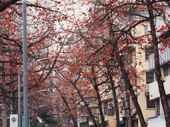-烈士陵园(地铁站)