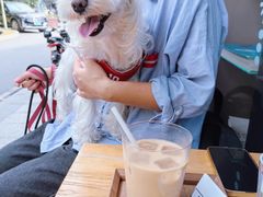 -溯洄咖啡VORTEX COFFEE