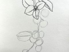 -六出私塾LiuChu•成人美术书法系统课程专业画室(熊婆婆的花园店)