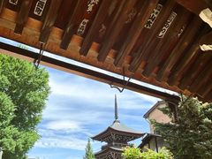 -医王山·飞騨国分寺