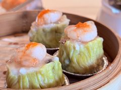 -点都德·毕德寮