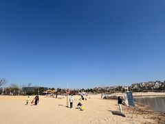 -九龙湖公园