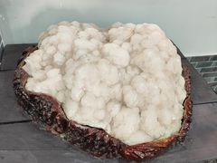 -游龙石文化科普馆