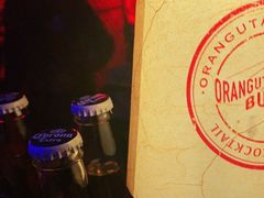 -Orangutan Bunker猩猩地堡酒吧(兰桂坊店)