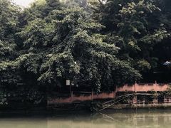 -成都市活水公园