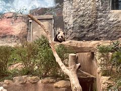 -石排湾郊野公园