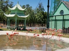 -秦皇岛野生动物园