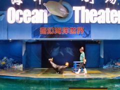 -苏州海洋馆