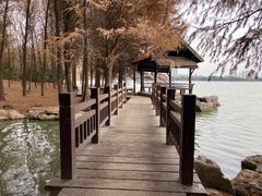 -高子水居