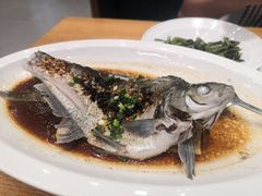 -饭怕鱼(阳光100店)