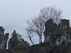 -千岛湖石林