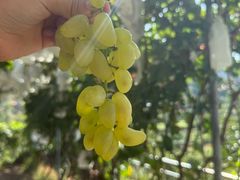 -大泽山风景名胜区