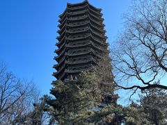 -北大家园食堂