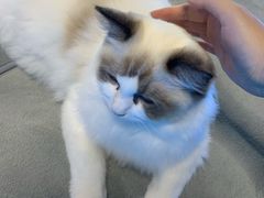 -零纪元VR体验馆·桌游(黄浦店)