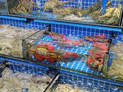 -大东海海鲜酒楼(渔人码头总店)